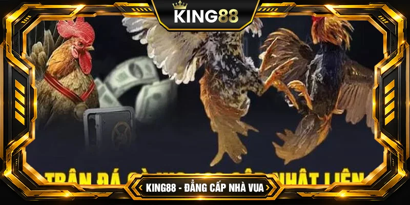Nội dung điều khoản trong giải trí 